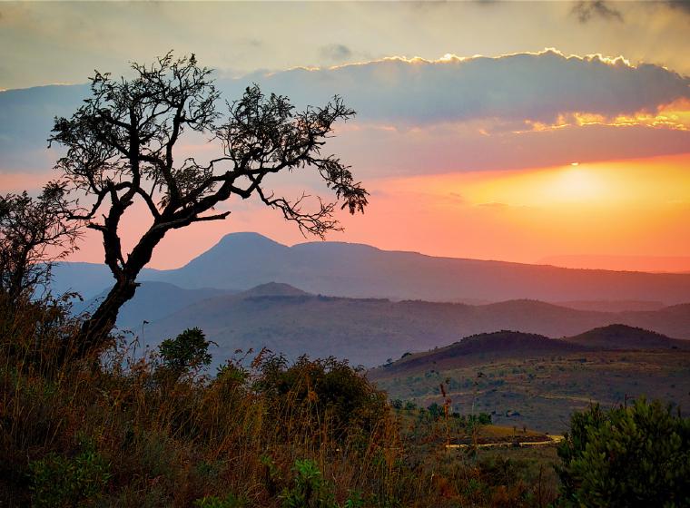 Silhouet van een boom bij zonsondergang over Zuid-Afrikaanse heuvels