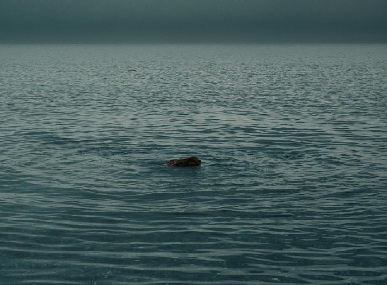 Rimpelend donker water onder een grauwe hemel