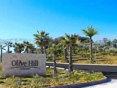 Entree van Olive Hill Clinique bij Marrakech, omringd door palmbomen met de Atlas op de achtergrond