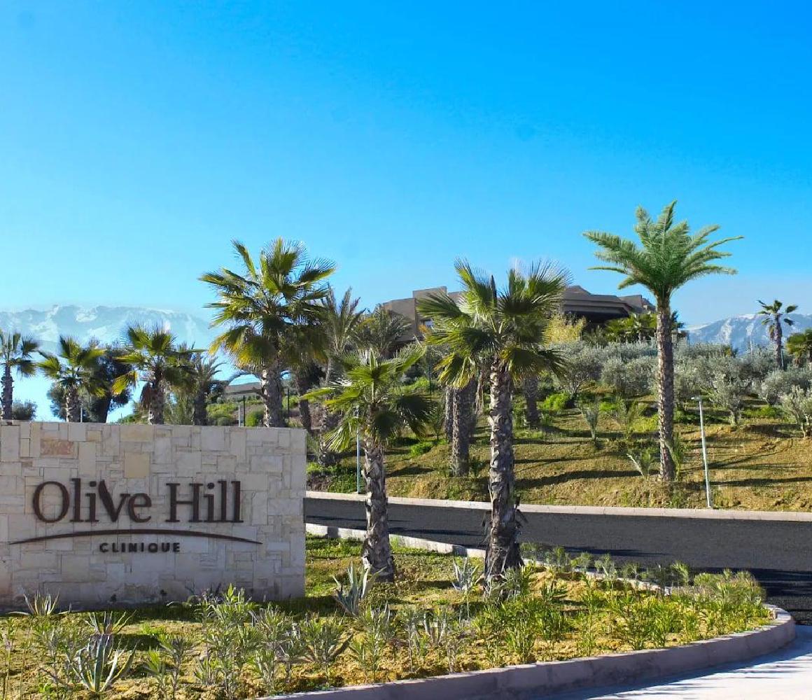 Entree van Olive Hill Clinique bij Marrakech, omringd door palmbomen met de Atlas op de achtergrond