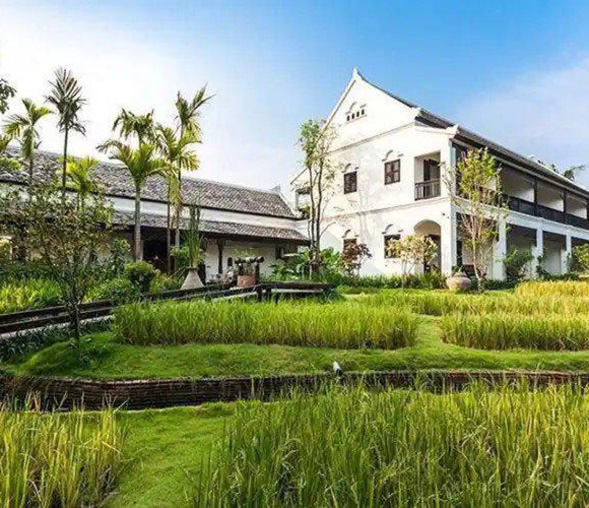 Traditioneel Thais landhuis omringd door rijstvelden bij The Cabin, de privé afkickkliniek partner van THE YOUTURN in Thailand